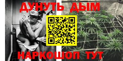 твердый Гатчина