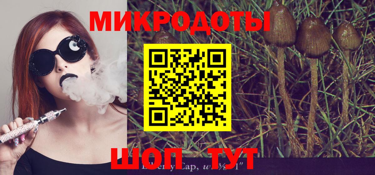 Галлюциногенные грибы прущие грибы  где найти наркотики  Тулун  Вход с VPN 